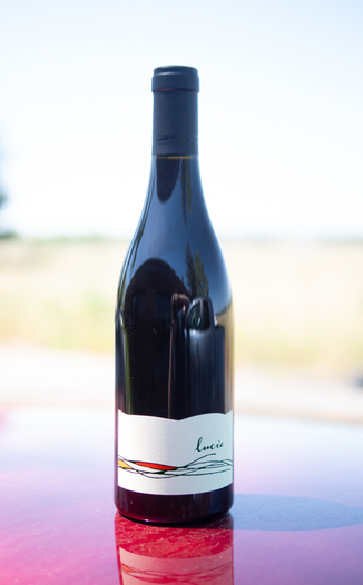 Bacio Divino 2016 'Lucie' Bacigalupi Vineyard Russian River Valley Pinot Noir 750ml Wine Bottle