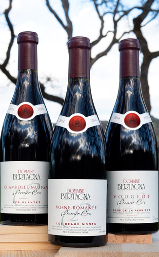 Domaine Bertagna 2016 'Côte de Nuits 1er Crus Picks' 3 Pack 750ml Wine Bottle