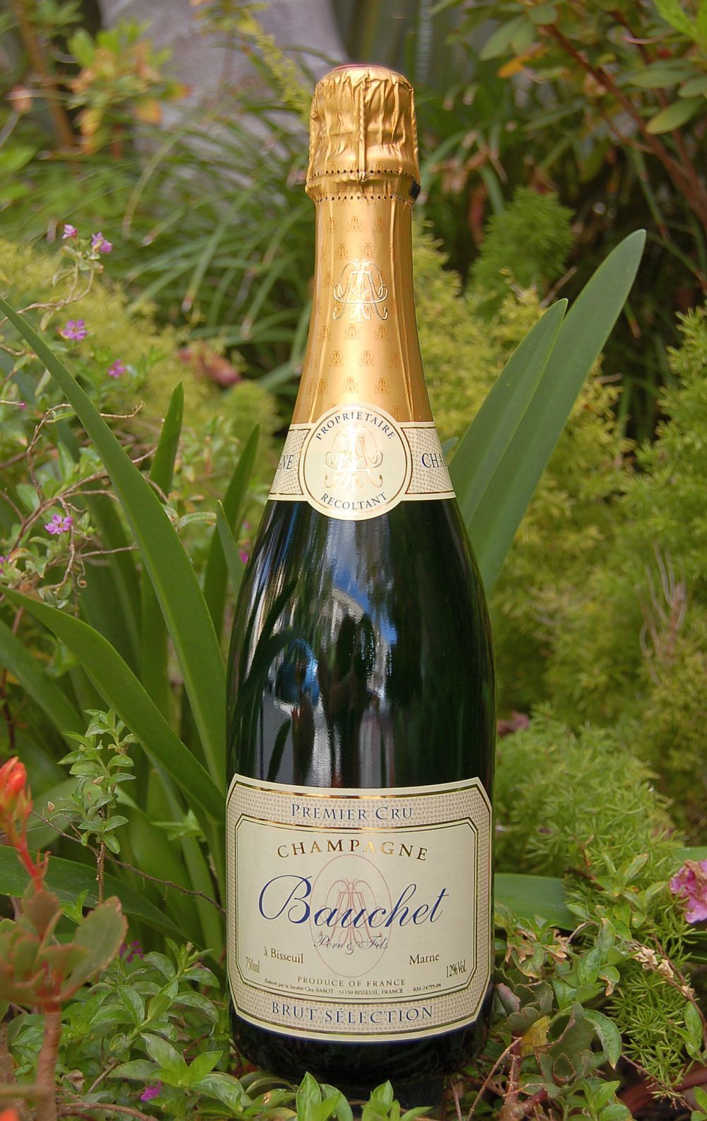 Bauchet Pere & Fils NV Brut Selection Premier Cru 750ml Wine Bottle