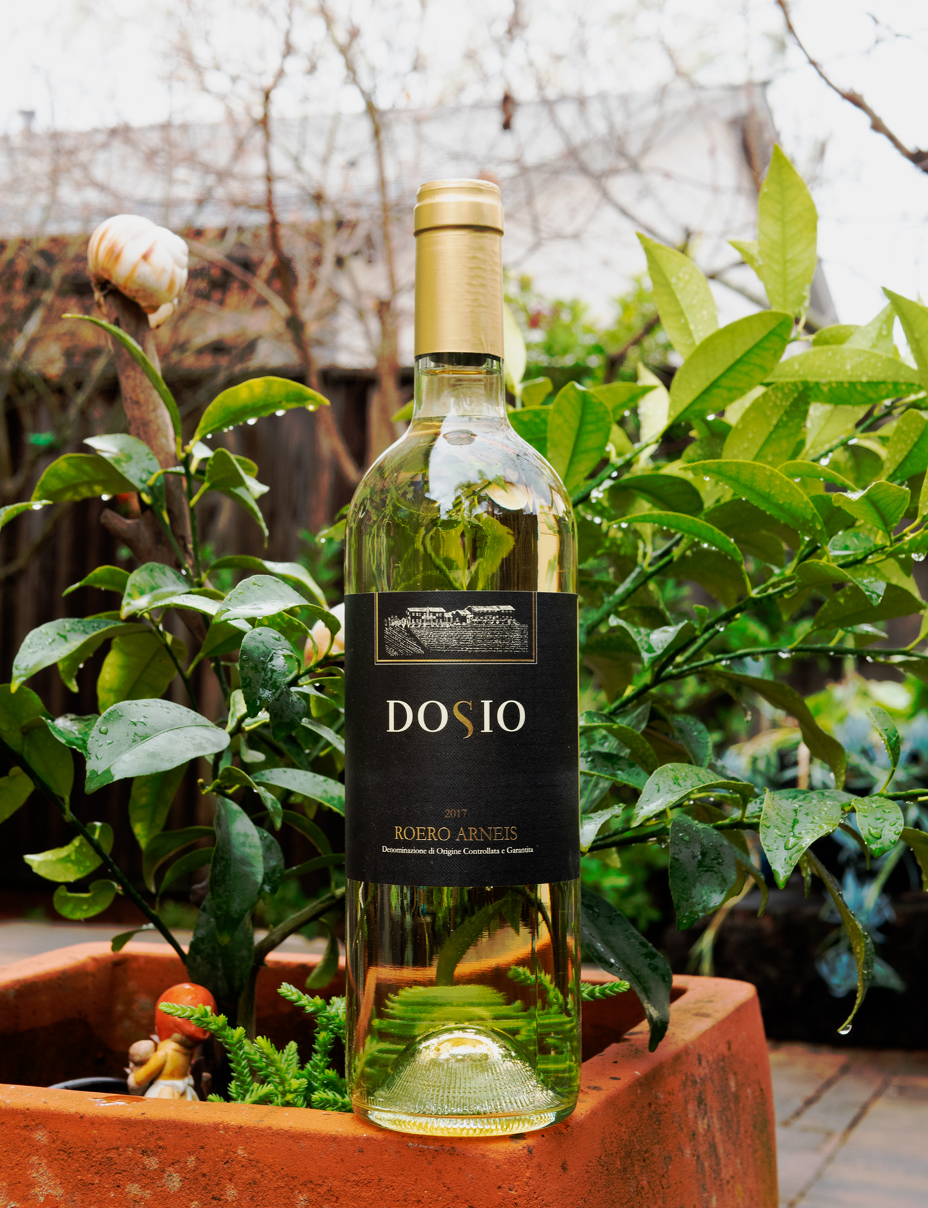 Dosio 2017 Roero Arneis 750ml Wine Bottle