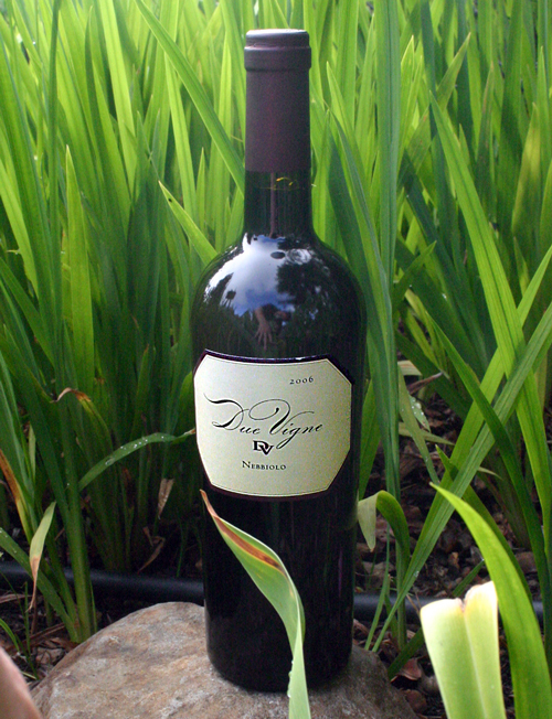 Due Vigne di Famiglia 2006 El Dorado County Nebbiolo 750ml Wine Bottle