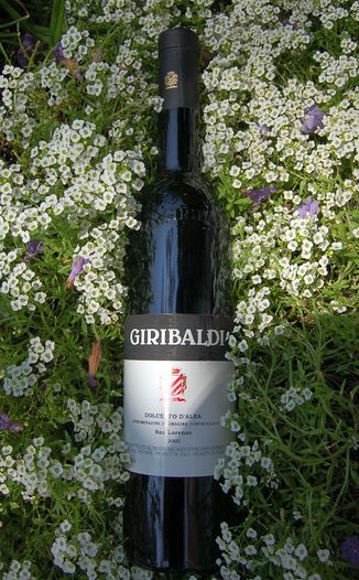 Az. Agr. Mario Giribaldi 2005 Dolcetto d'Alba 'San Lorenzo' 750ml Wine Bottle