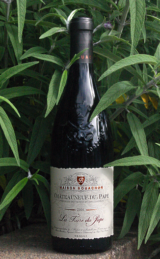 Skalli Grand Vin du Rhone 2006 La Tiare du Pape 750ml Wine Bottle