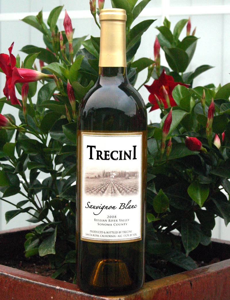 Trecini Cellars 2008 Sonoma County Sauvignon Blanc 750ml Wine Bottle