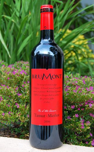 Vignobles Brumont 2006 Fier d'etre Gascon Tannat-Merlot 750ml Wine Bottle