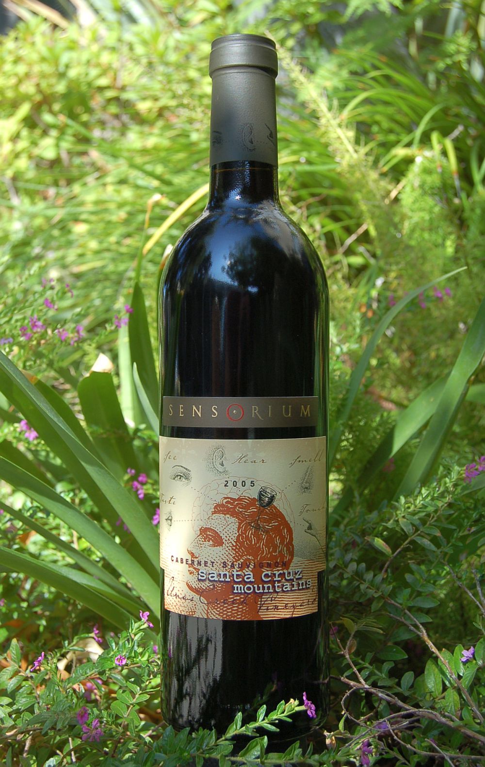 Sensorium Wines 2005 Santa Cruz Mountains Cabernet Sauvignon 750ml Wine Bottle