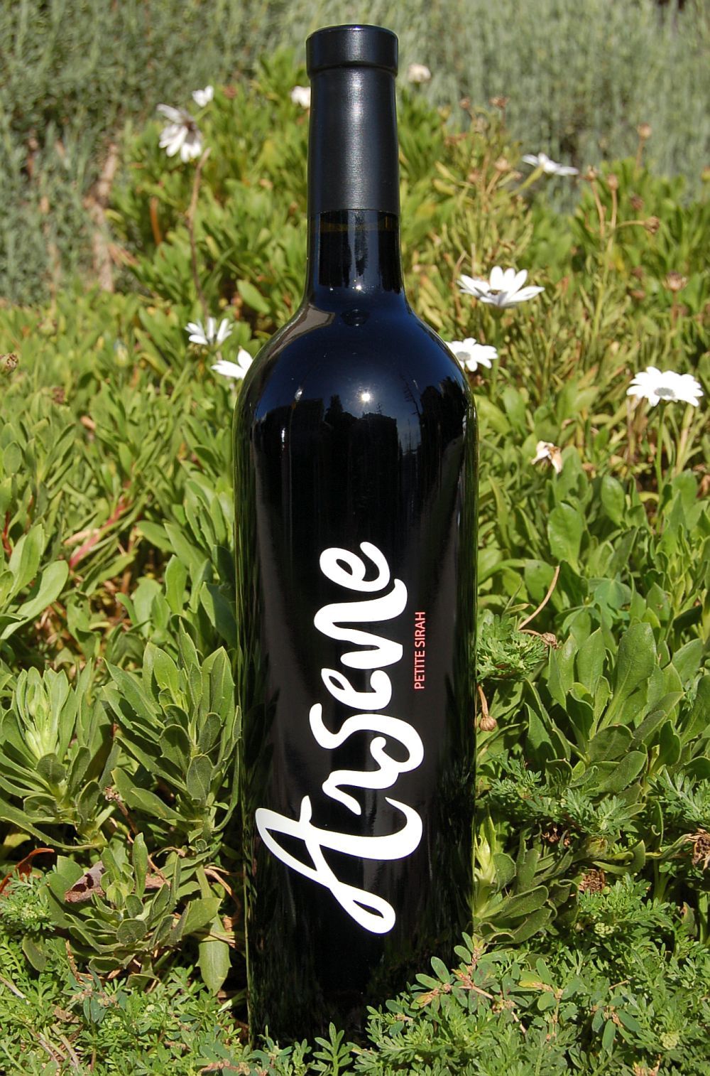 Swanson Vineyards 2006 Arsene - Fortified Petite Sirah 750ml Wine Bottle