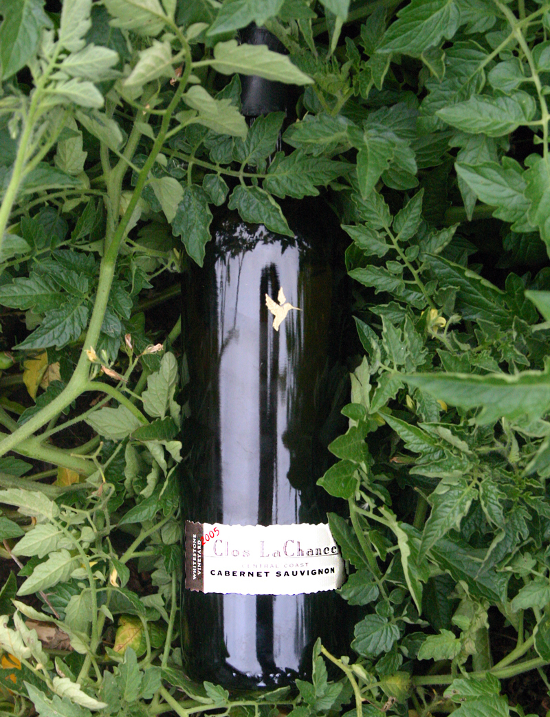 Clos LaChance 2005 Whitestone Cabernet Sauvignon 750ml Wine Bottle