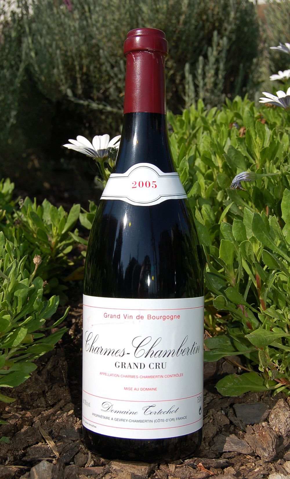 Domaine Tortochot 2005 Charmes-Chambertin Grand Cru 750ml Wine Bottle