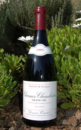 Domaine Tortochot 2005 Charmes-Chambertin Grand Cru 750ml Wine Bottle