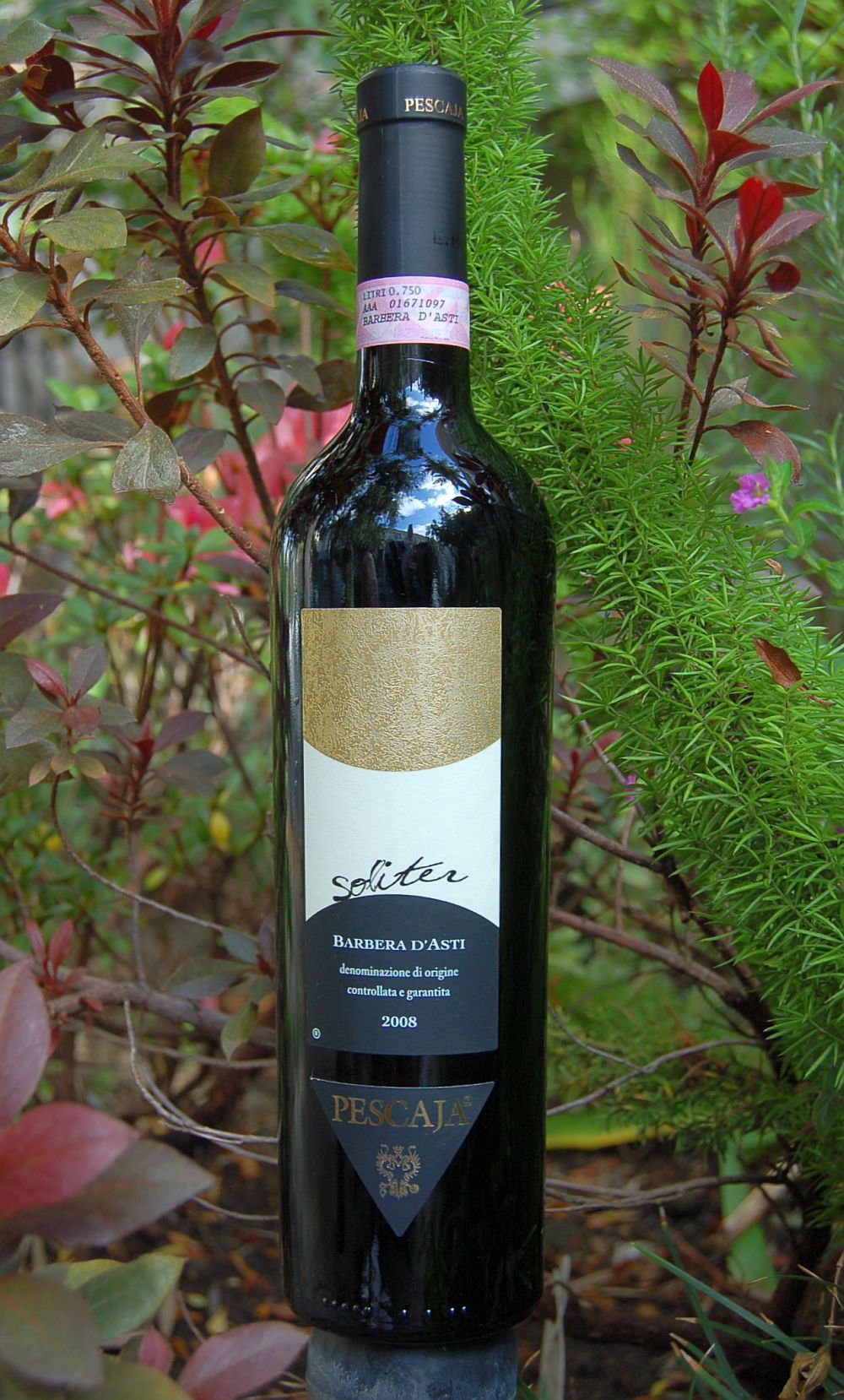 Az. Agr. Pescaja 2008 'Soliter' Barbera d'Asti DOCG 750ml Wine Bottle