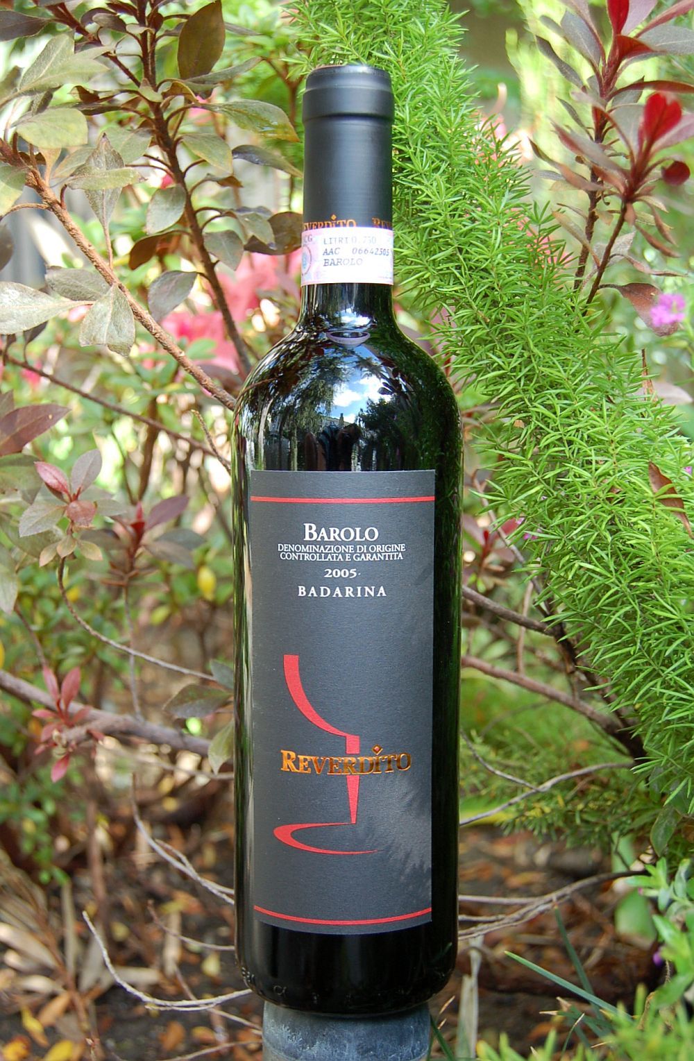 Reverdito Michele 2005 'Badarina' Barolo DOCG 750ml Wine Bottle