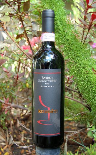 Reverdito Michele 2005 'Badarina' Barolo DOCG 750ml Wine Bottle