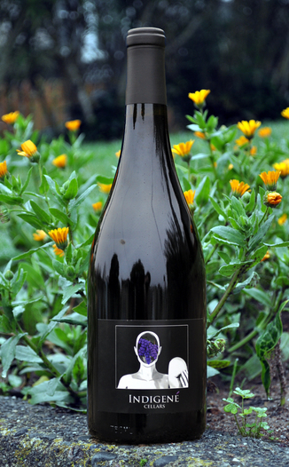 Indigene Cellars 2007 Santa Maria Valley Pinot Noir 750ml Wine Bottle