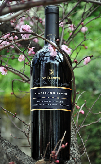 St. Clement Vineyards 2005 Armstrong Ranch Cabernet Sauvignon 750ml Wine Bottle