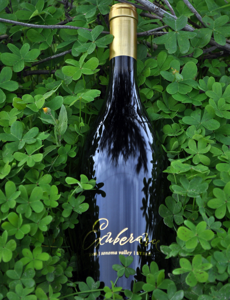 Canihan 2006 Exuberance Syrah 750ml Wine Bottle