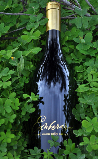 Canihan 2006 Exuberance Syrah 750ml Wine Bottle