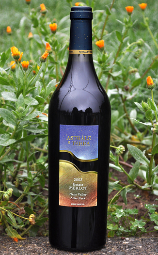 Astrale e Terra (closed) 2003 Estate Merlot 750ml Wine Bottle
