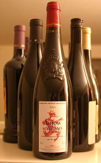 Domaine Patrick Baudouin 2003 Anjou Villages 750ml Wine Bottle
