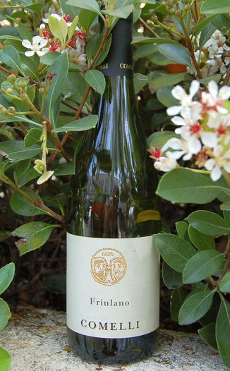 Comelli Paolino 2008 Friulano 750ml Wine Bottle
