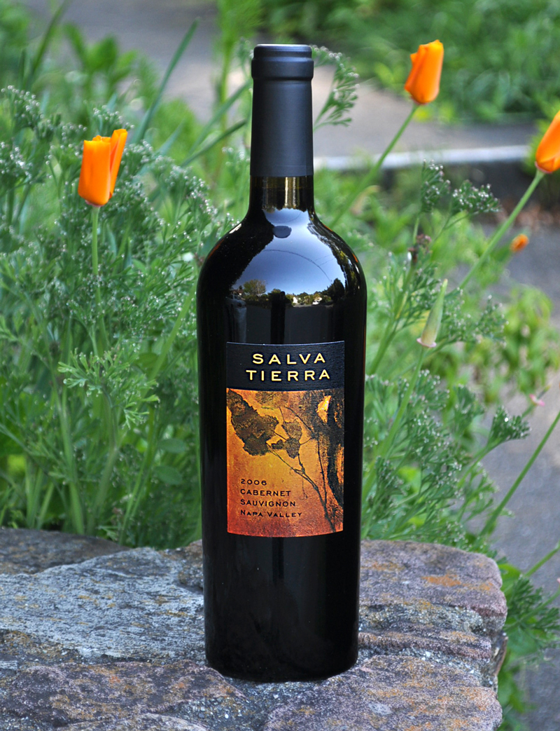 Renteria 2006 Salva Tierra Cabernet Sauvignon 750ml Wine Bottle