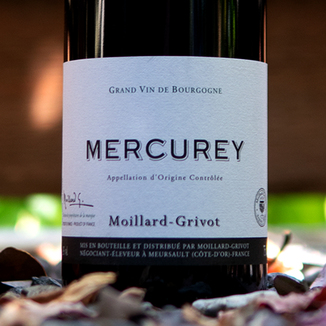 Moillard-Grivot 2013 Mercurey Rouge AOC | Wine Spies