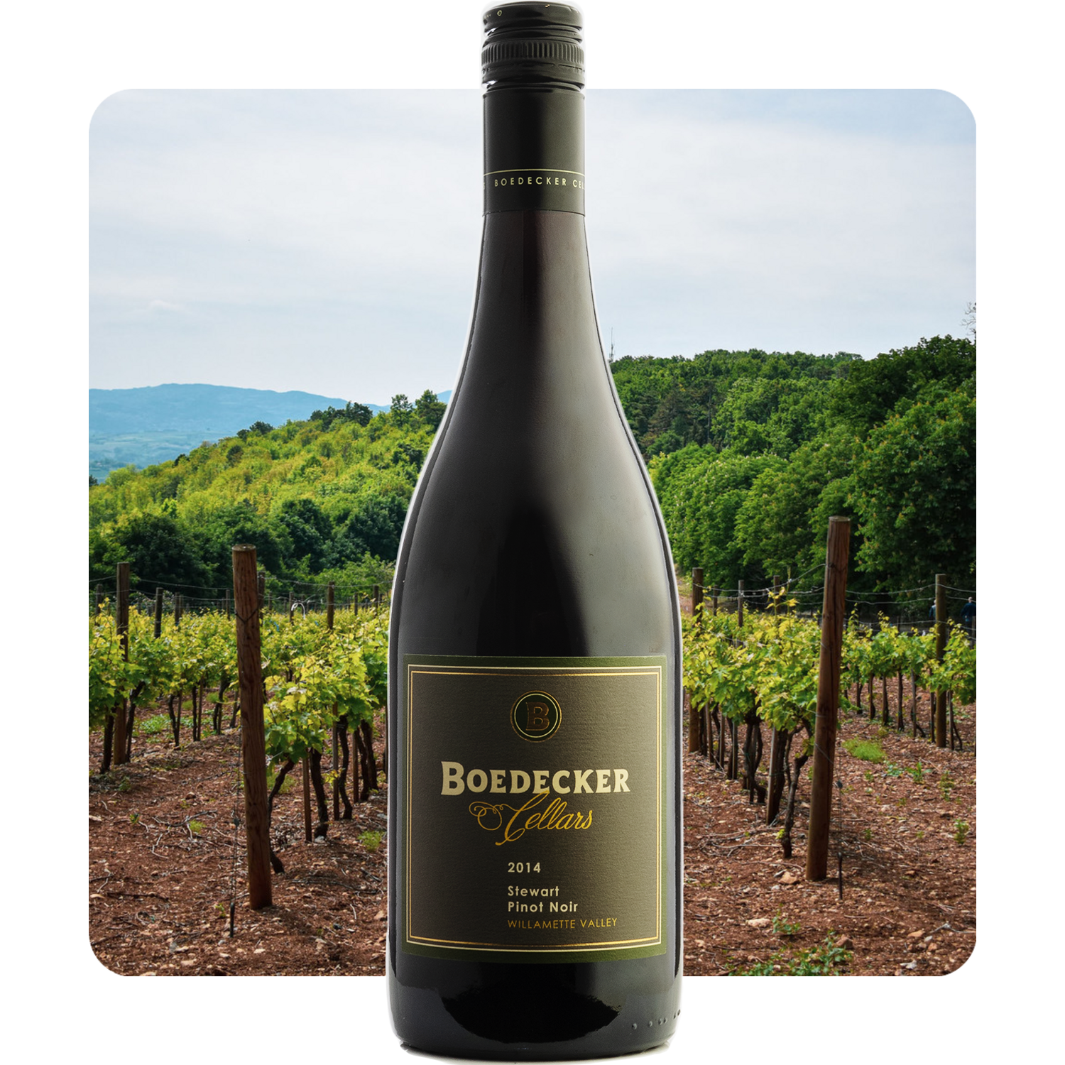 Bottle Boedecker Pinot Noir 2016 2016 Boedecker Cellars Stewart