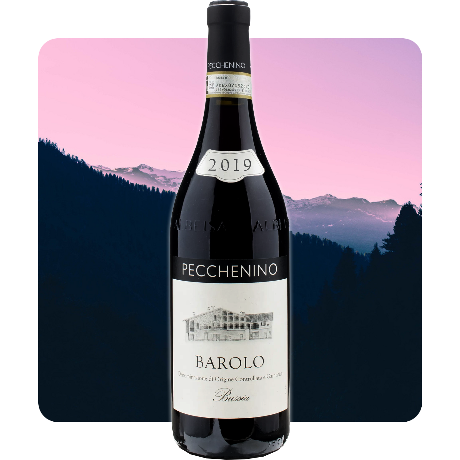 Pecchenino 2019 Bussia Barolo Review | Wine Spies