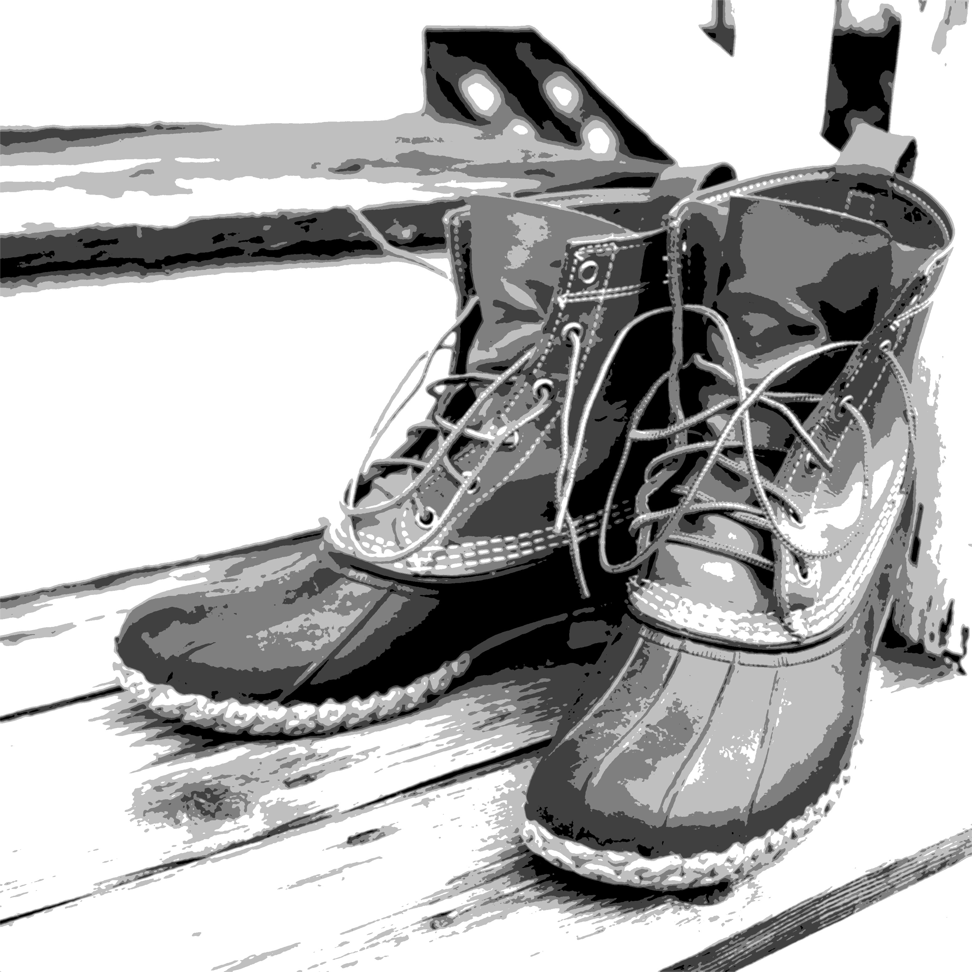 5 value study of boots