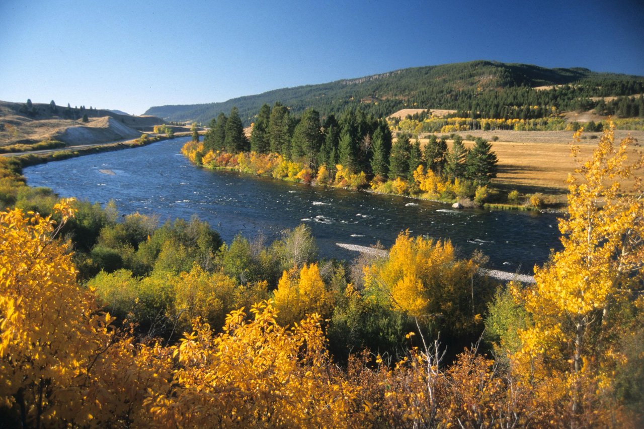 Madison River