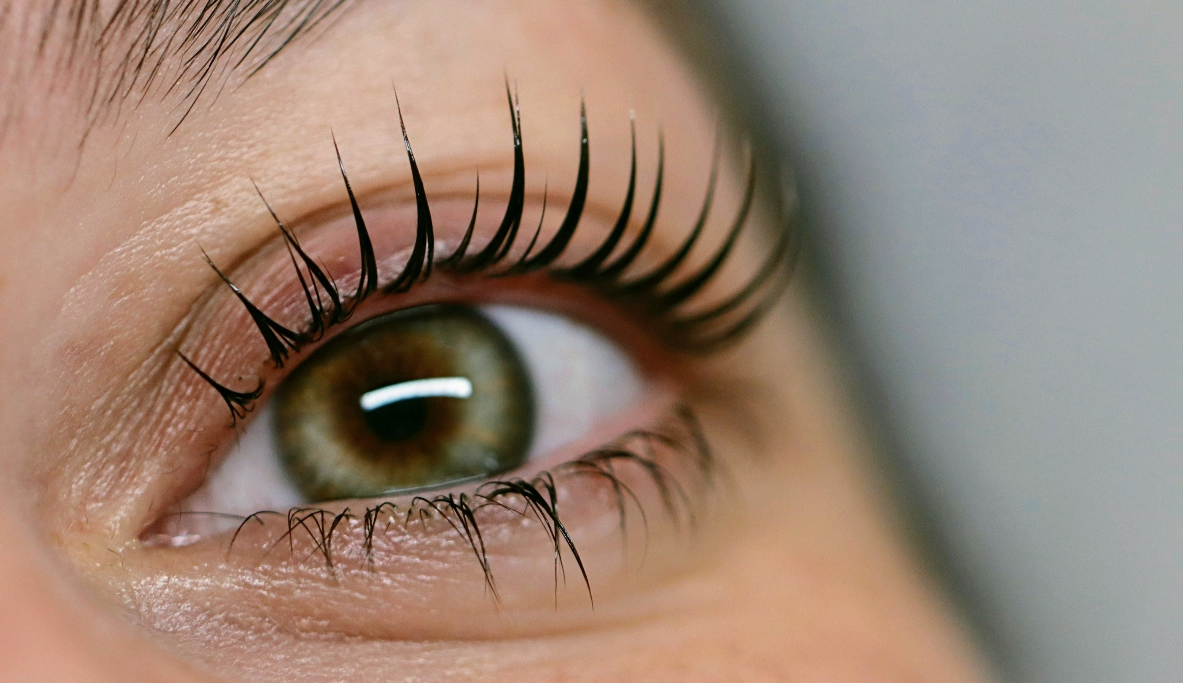 Korean lash lift and tint by Authentik Artistry online training. 