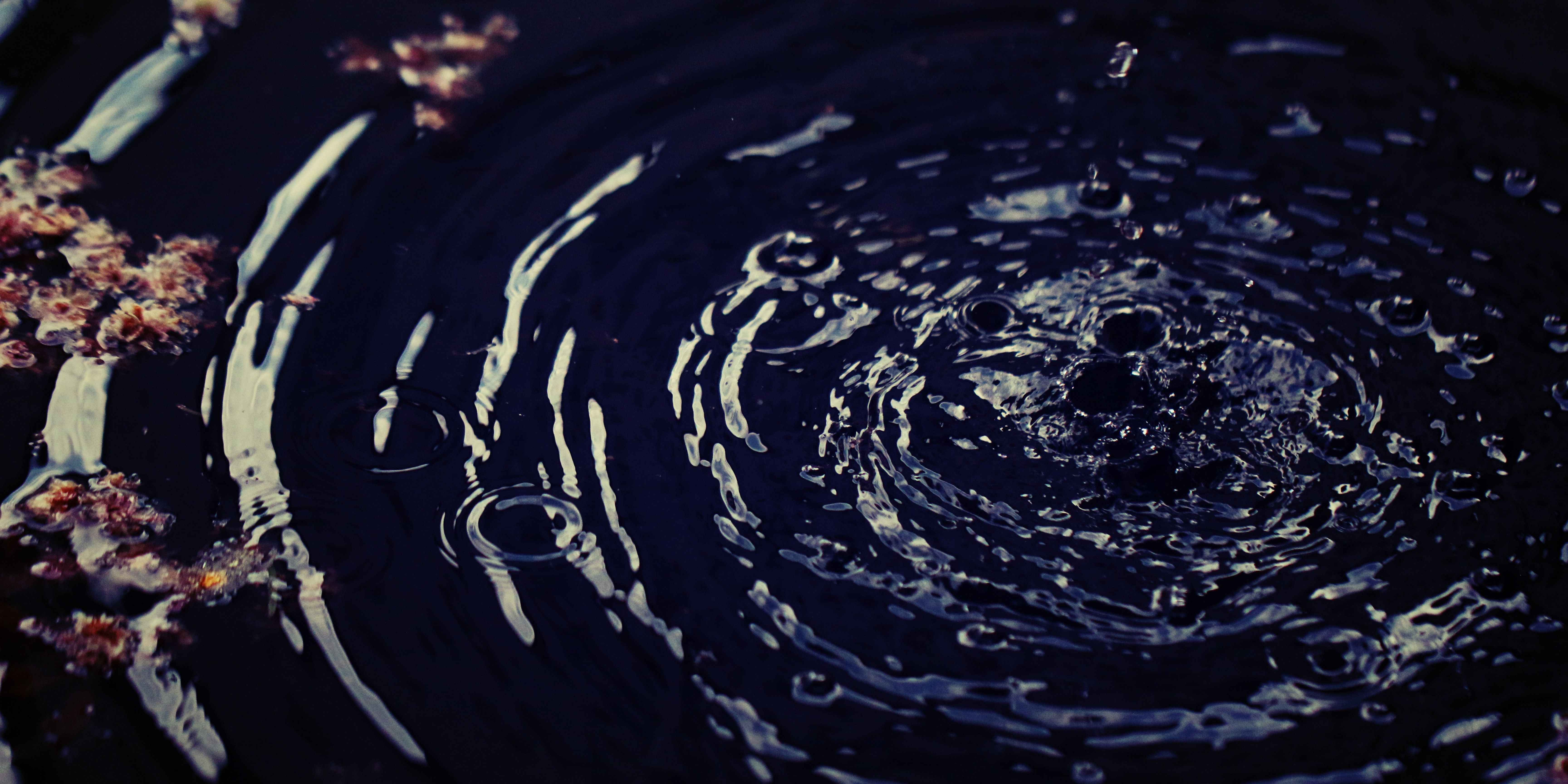 raindrops on a pool of water