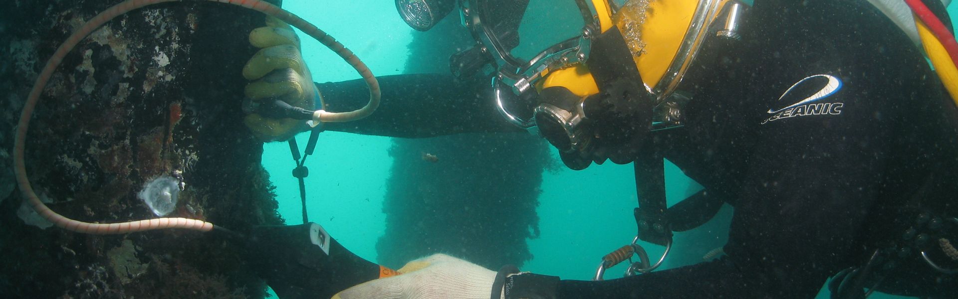 CSWIP 3.1u Q & A Exam Prep