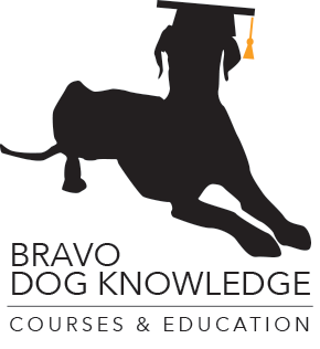 Bravo Dog Knowledge