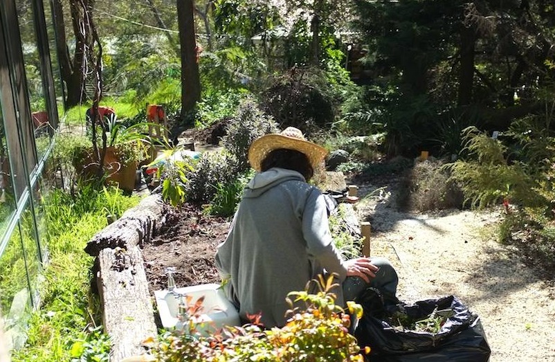 A woman sits near a vegetable patch weeding.