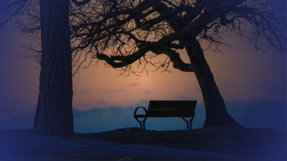 Empty Bench