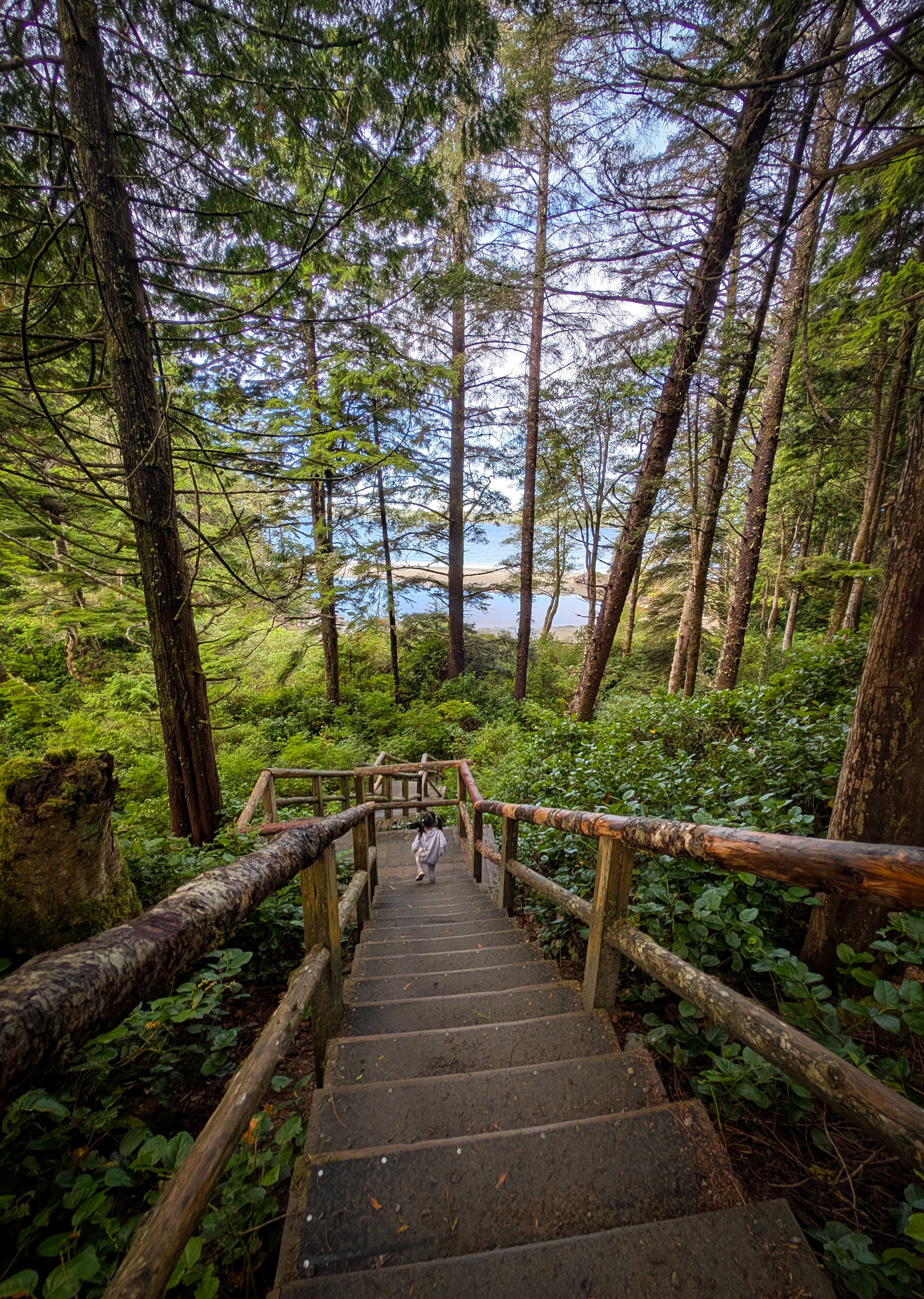 Family Adventure Travel - Vancouver Island Itinerary