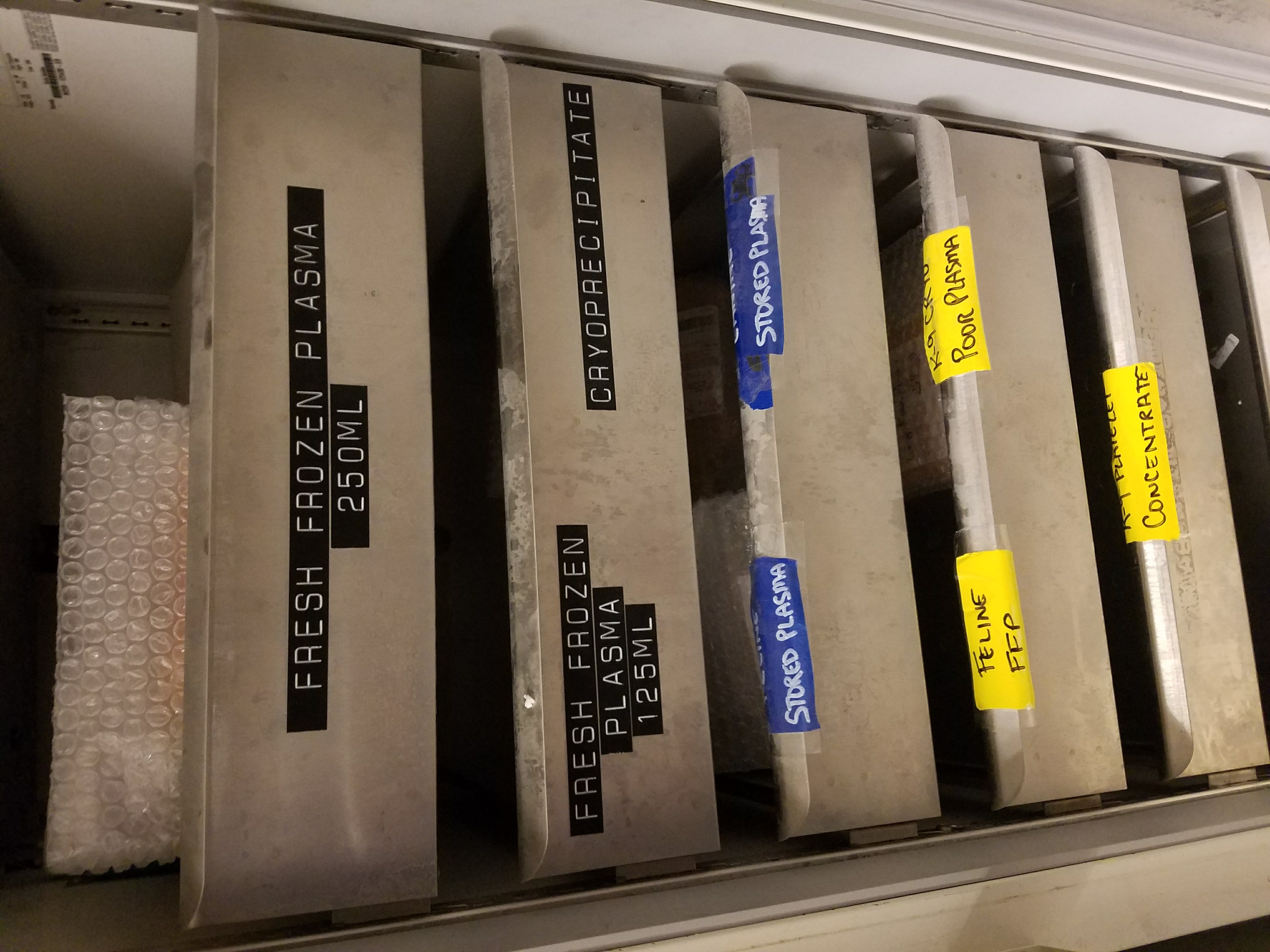 Fresh Frozen Plasma