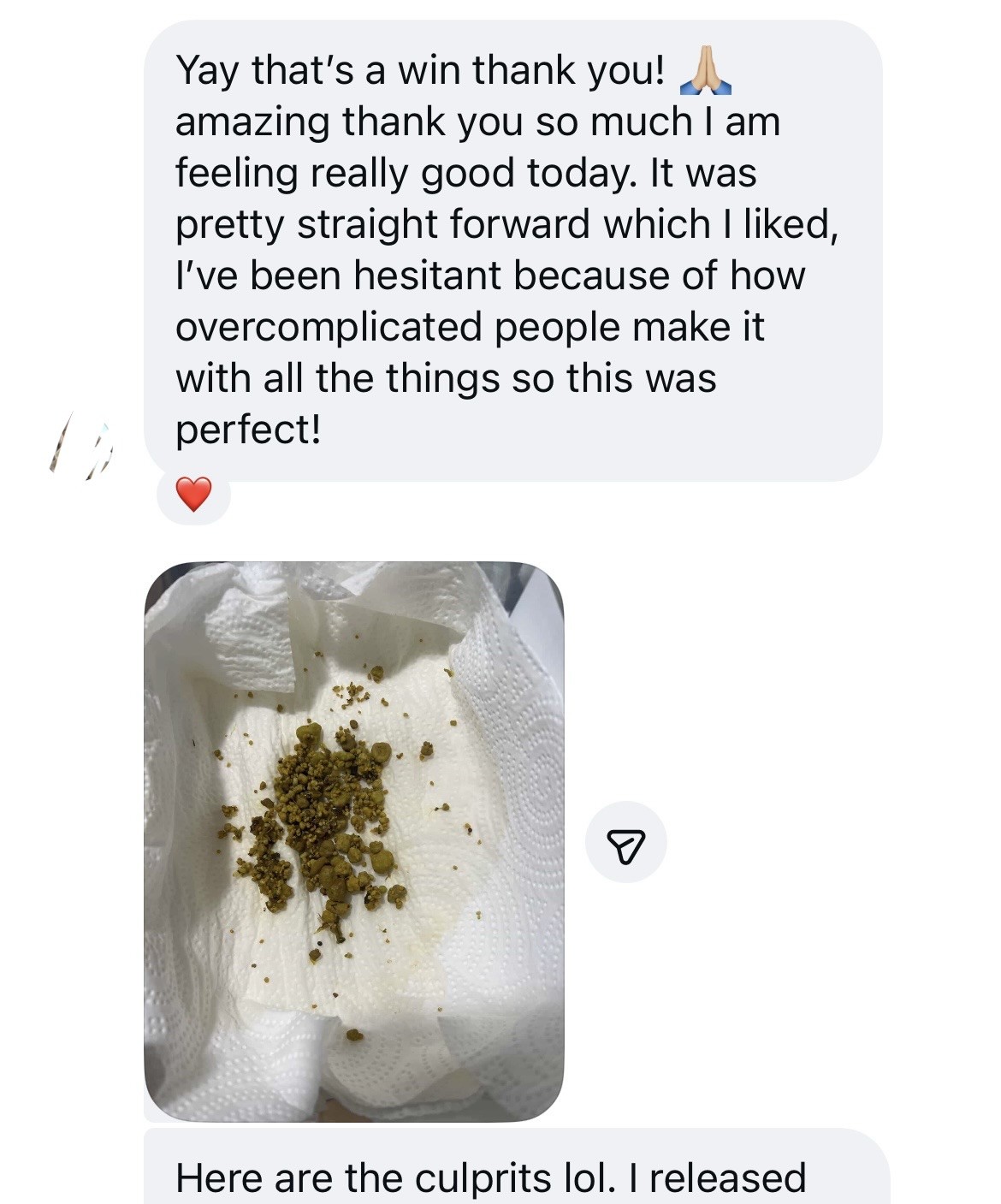 flush guide review