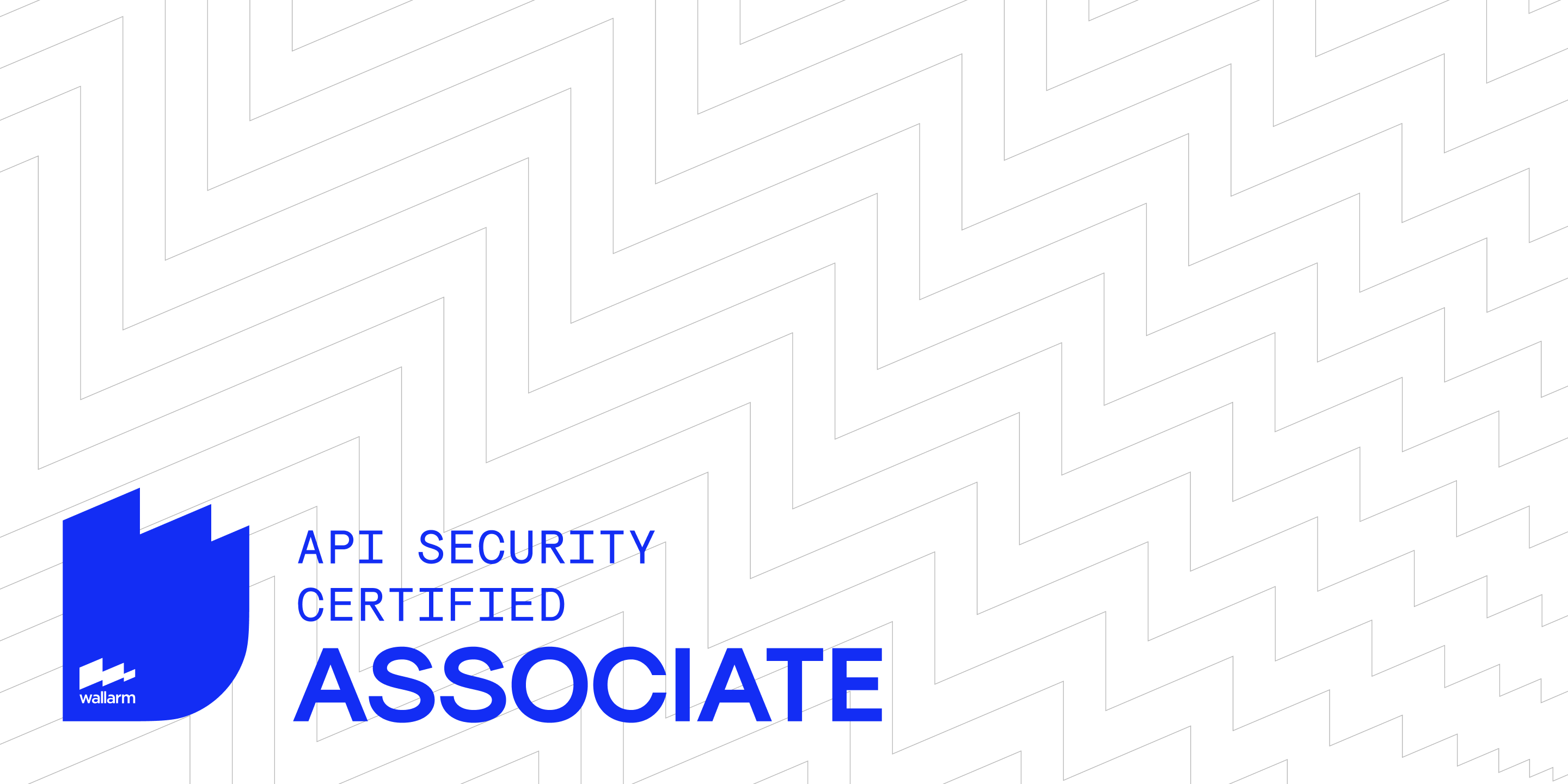 API Security Certified Associate by Wallarm