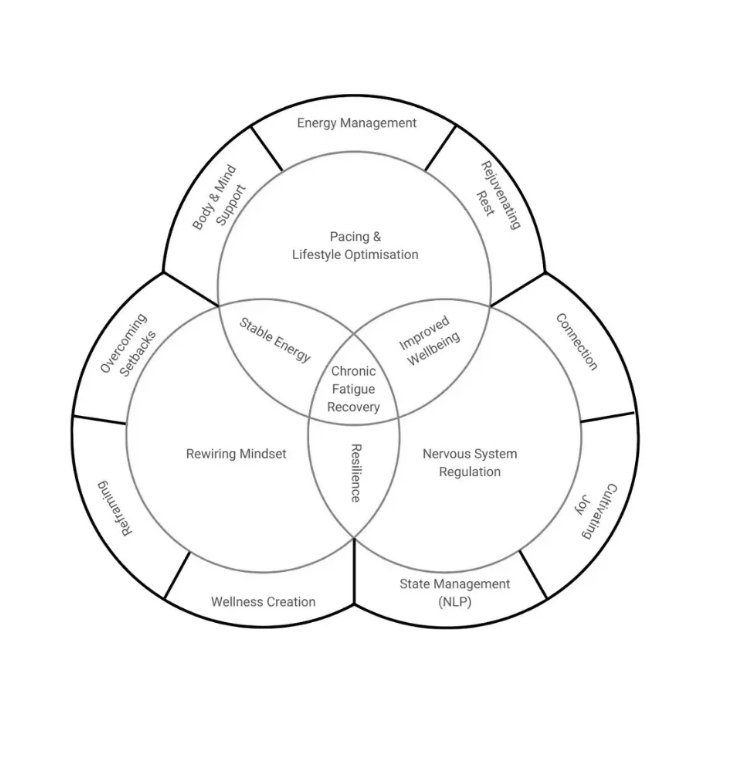 Jo Thomas'  “Pace, Rewire, and Regulate” method for CFS recovery.
