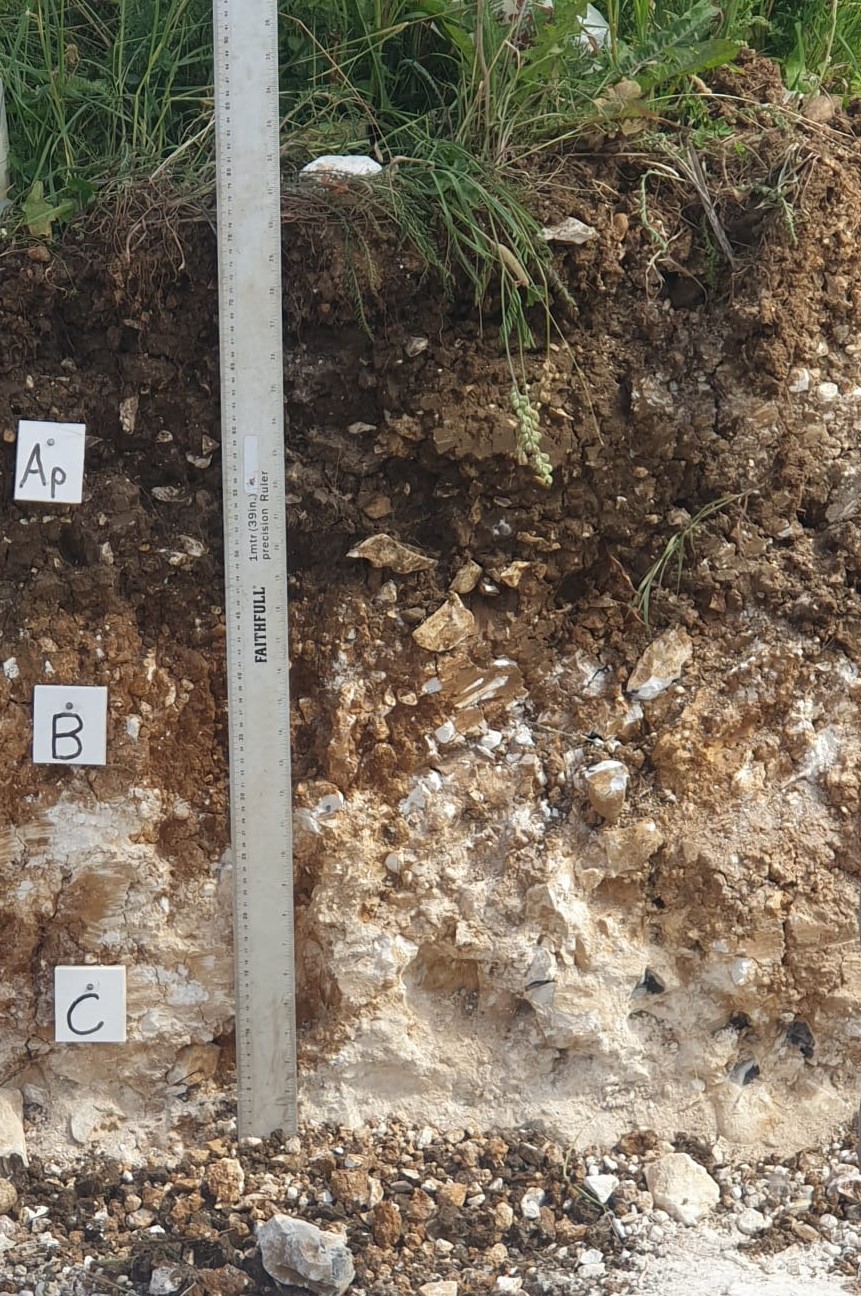 Soil layers shown in a demo screeenshot for education of soil ability to absorb water, compact or drain