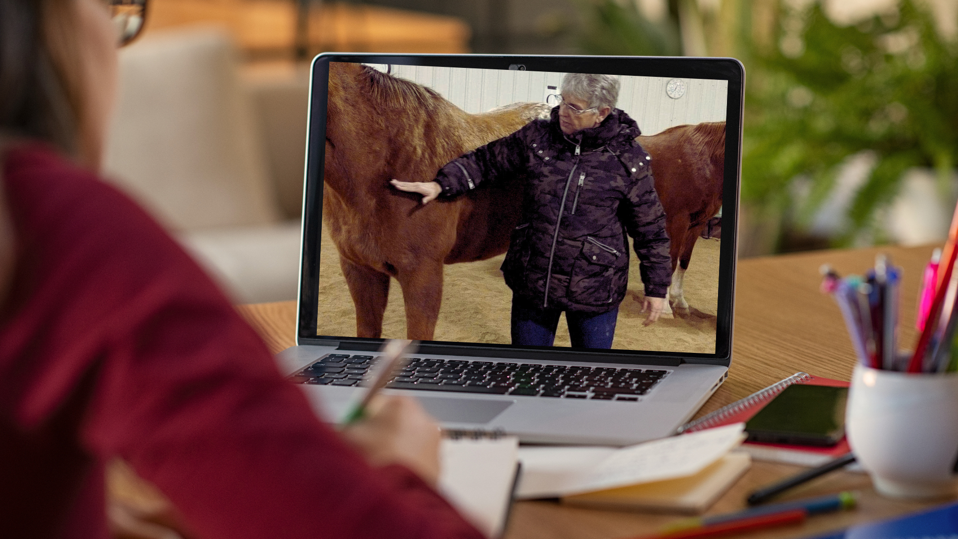 Karen Saindon Teaching an online class during the Equine Massage Mastery Course