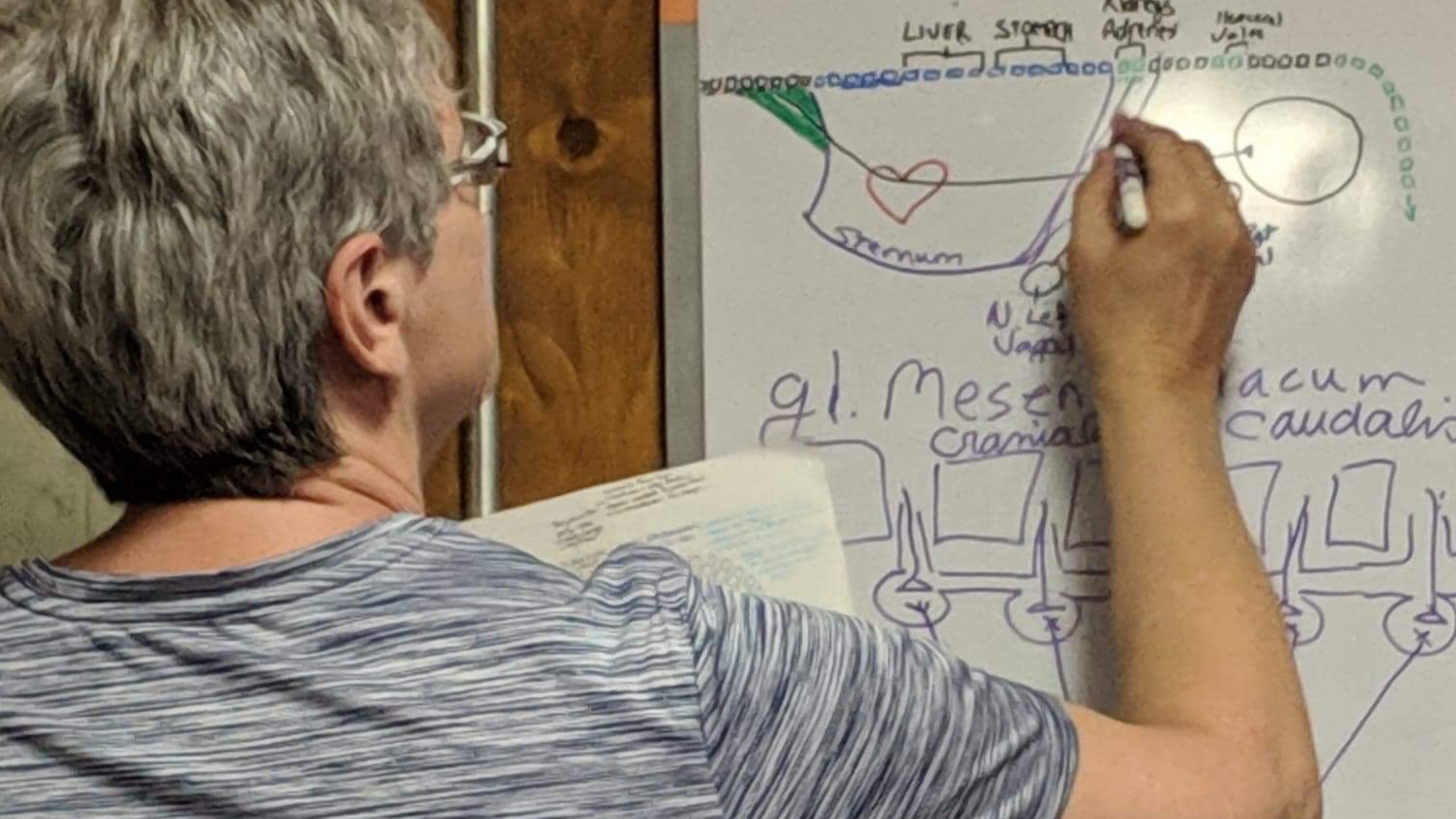 Karen Saindon Reviewing Course Work for the Equine Massage and Bodywork Course