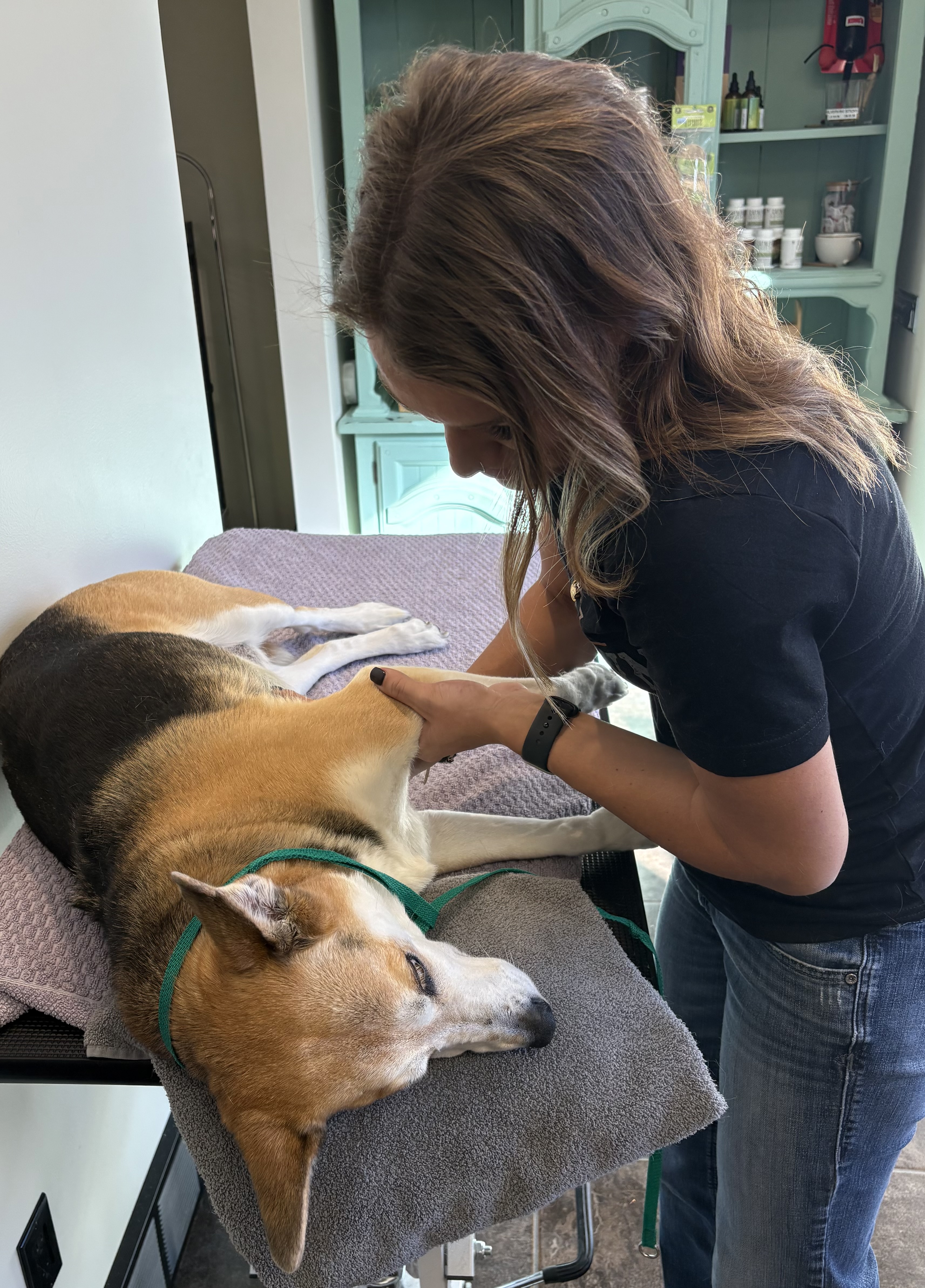 Canine massage certification graduate with therapy dog