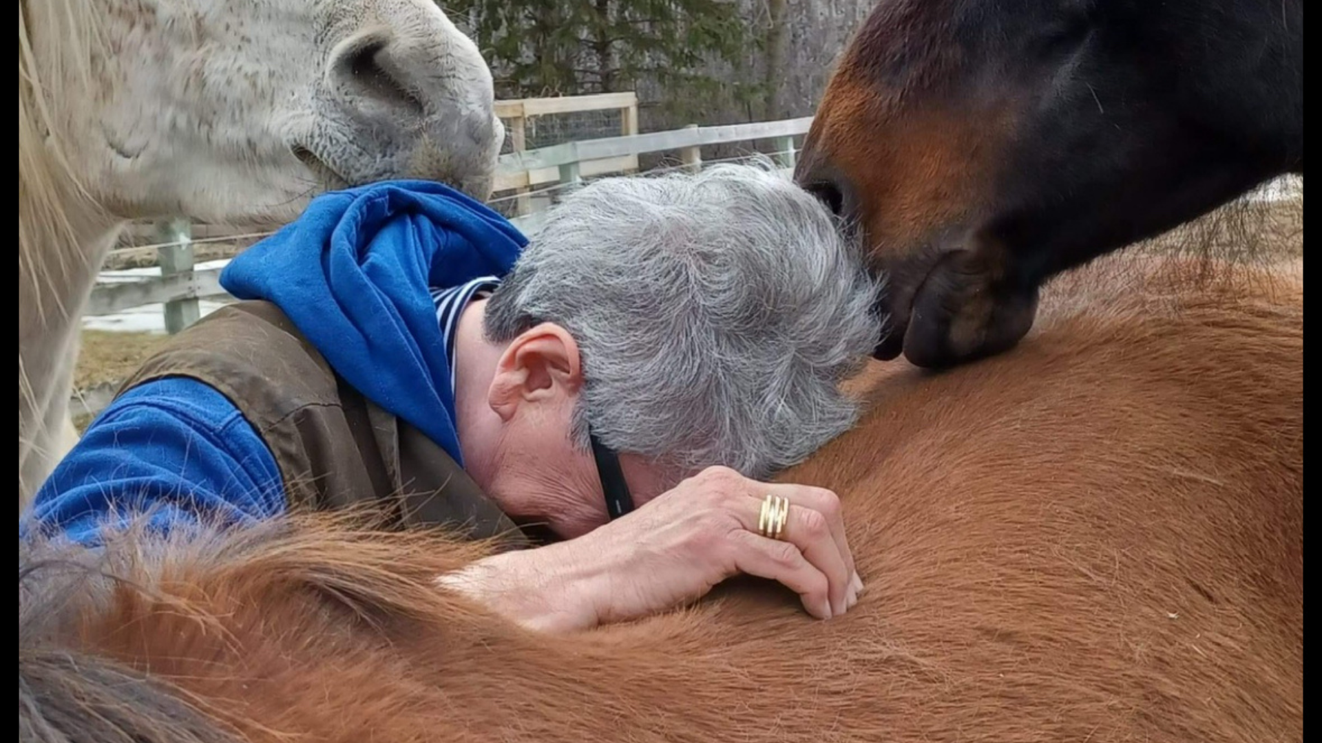 Karen Saindon, Instructor, providing a demonstration of Equine Massage