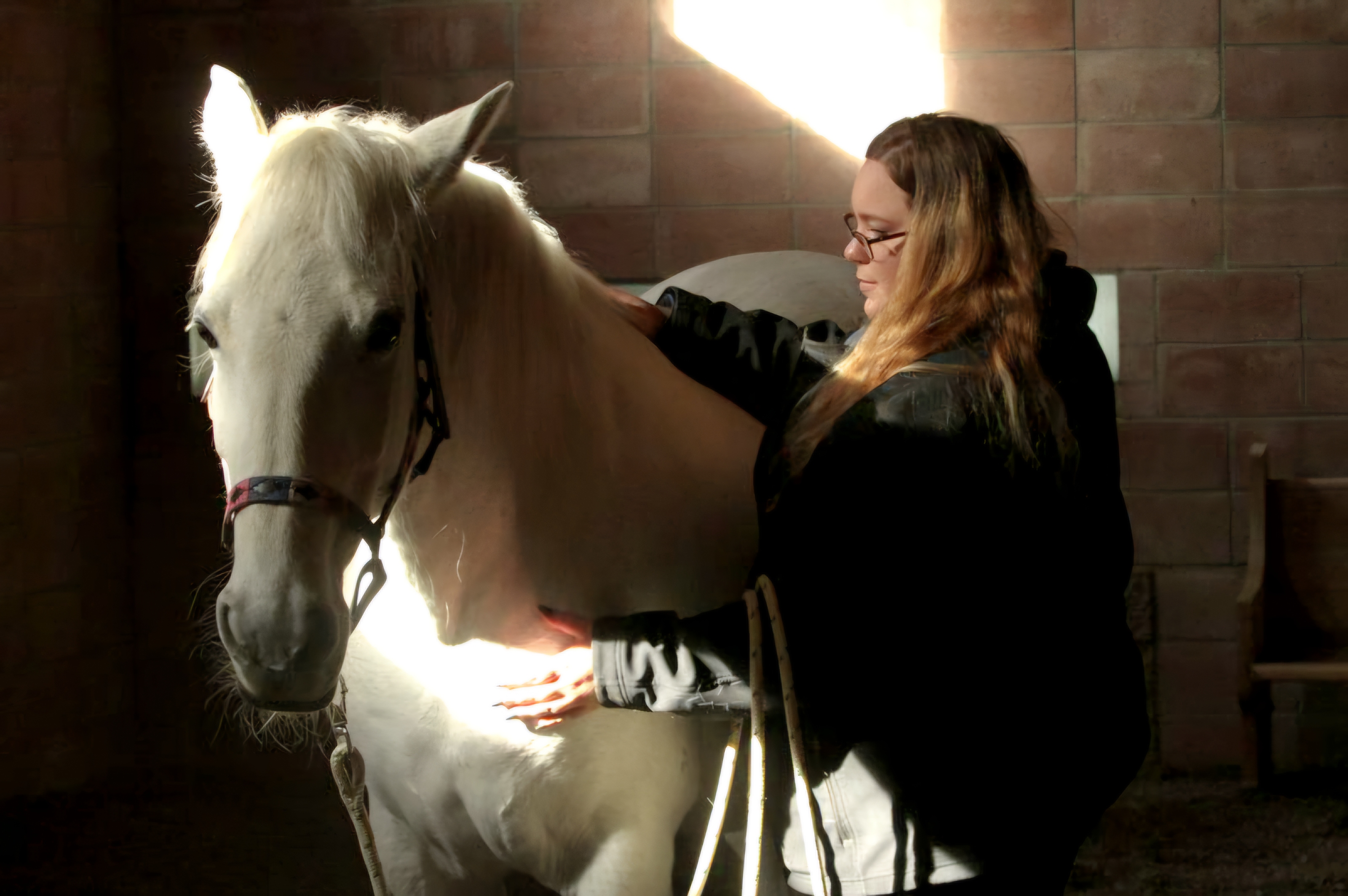 Rylyn Demarco, graduate, massaging her white horse