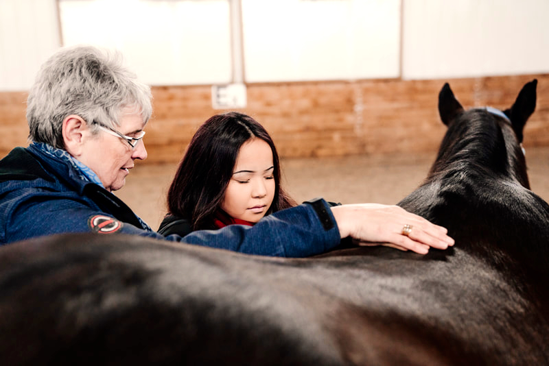 Willowbrook Academy's Karen Saindon teaching Equine Massage