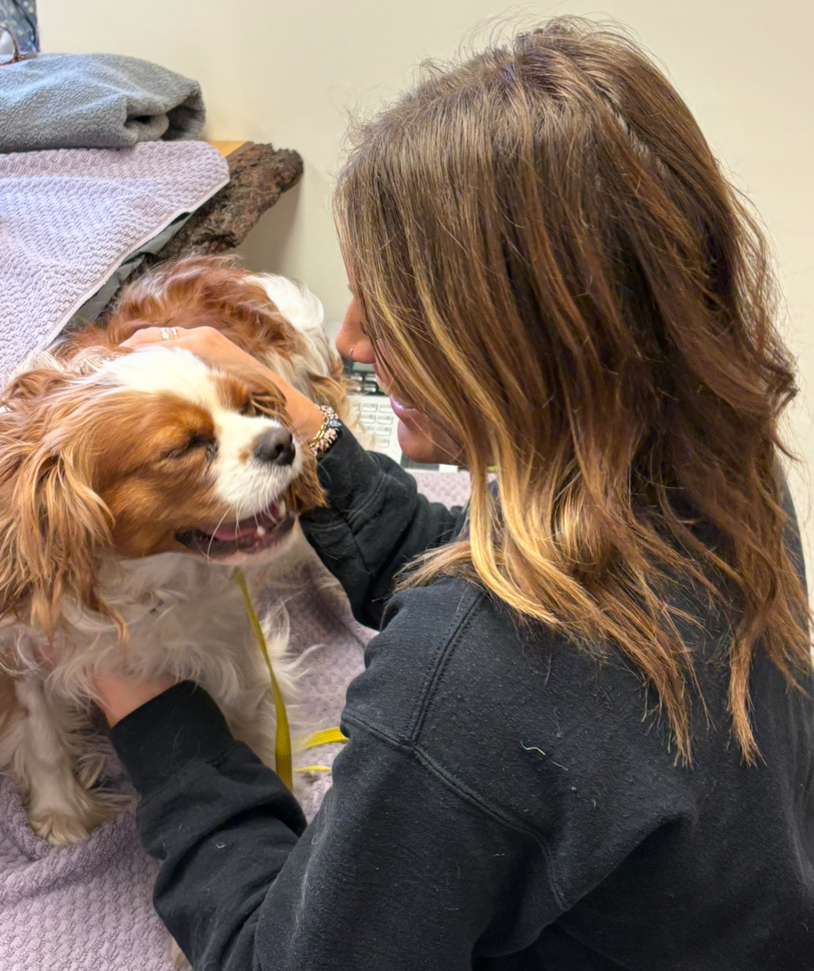 Student of Willowbrook Academy working on a happy dog. 