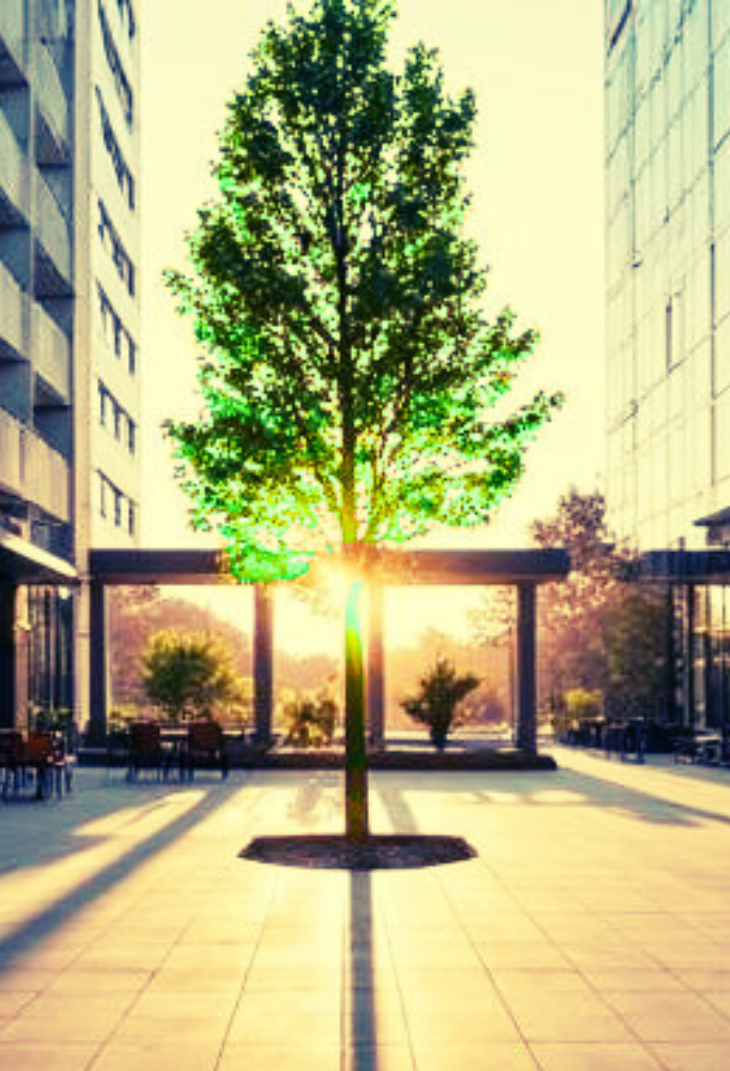 Sunlight through rain on one side and clear on the other side.